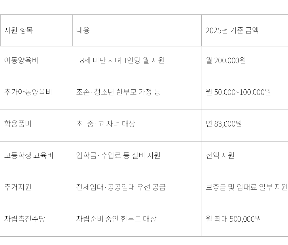 2025년 한부모가정 지원금 항목별 비교표