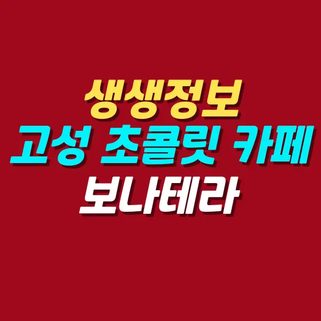 생생정보-강원도-고성-초콜릿