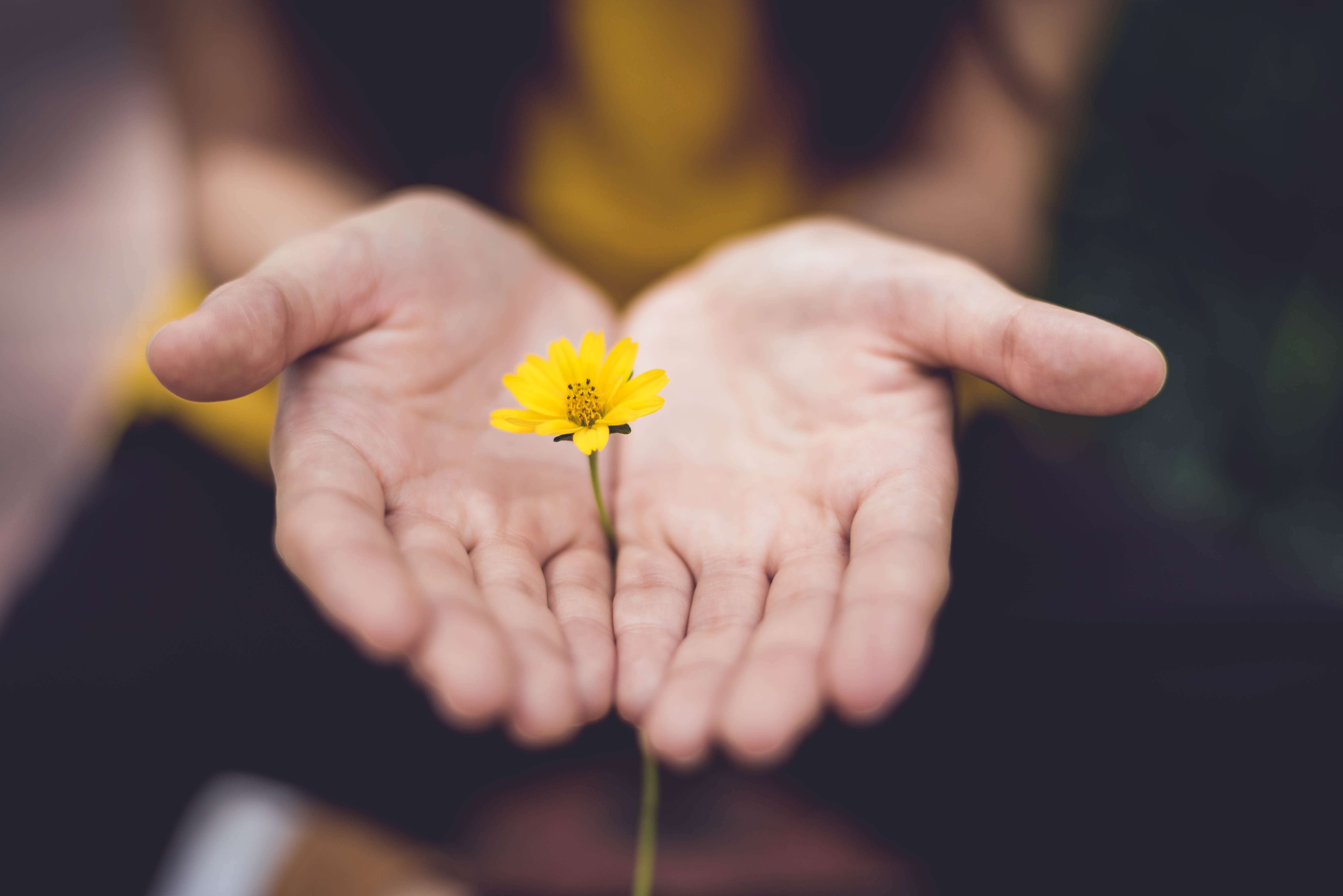 hand-image