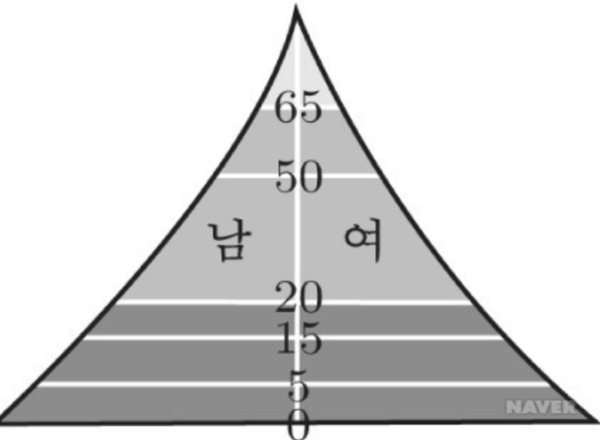 인구구조-피라미드형