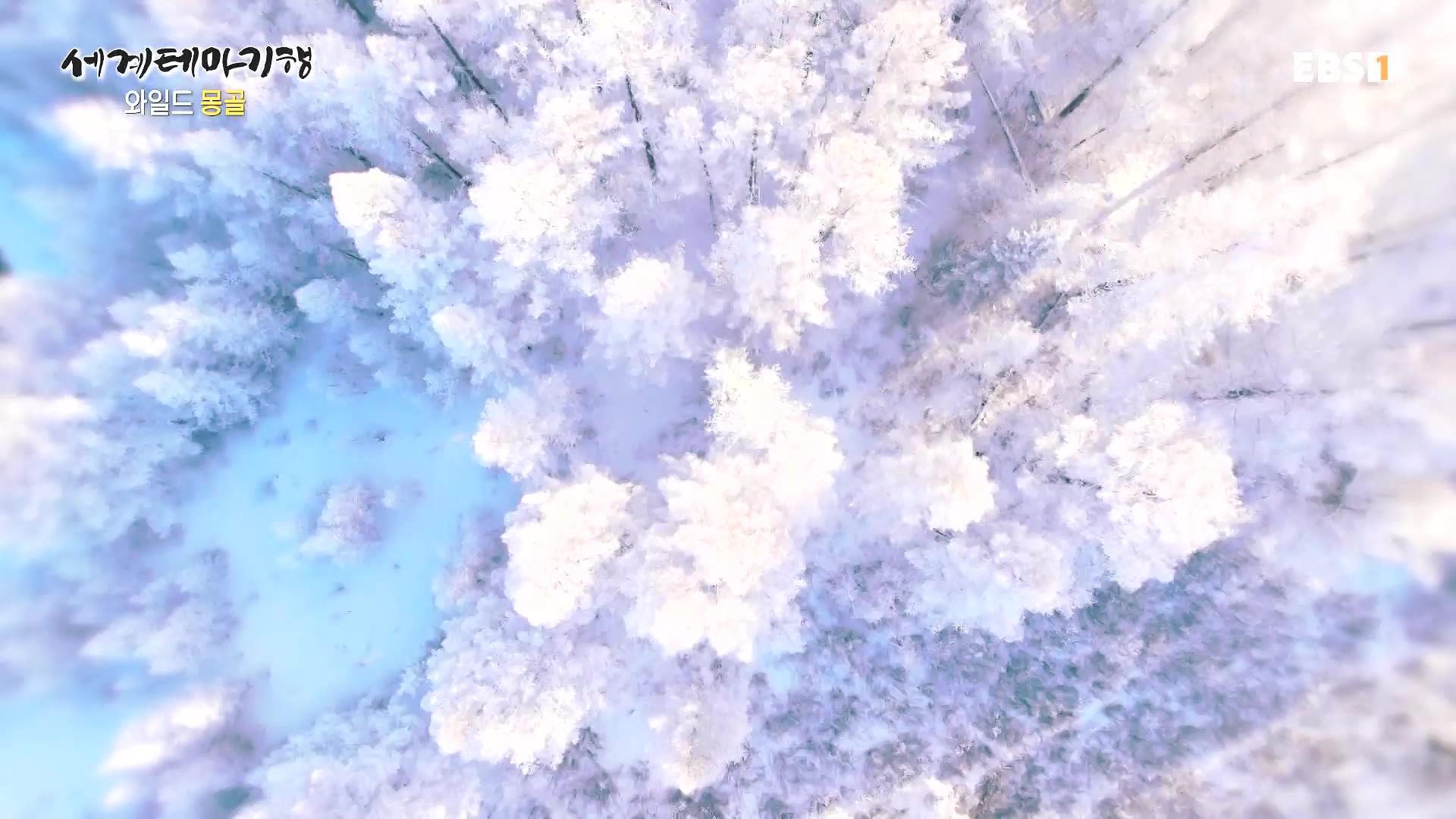 세계테마기행 240212 와일드 몽골 -겨울 낭만이 몽골몽골0p.mp4_20240731_201522.237.jpg