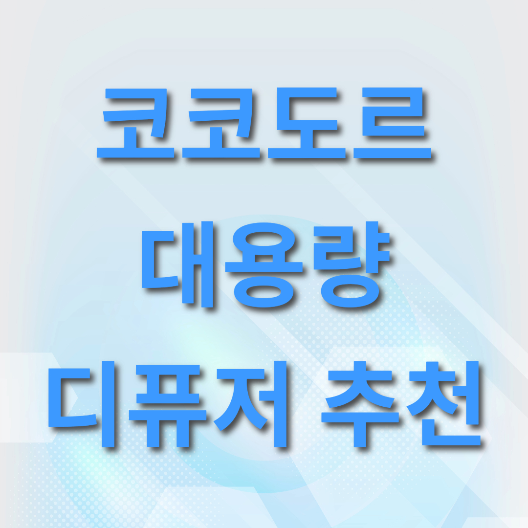  코코도르 오브제 디퓨저 2L 제품 사용 후기 대용량 디퓨저 추천