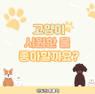 고양이 차가운 시원한 물 마시면 안좋나요?