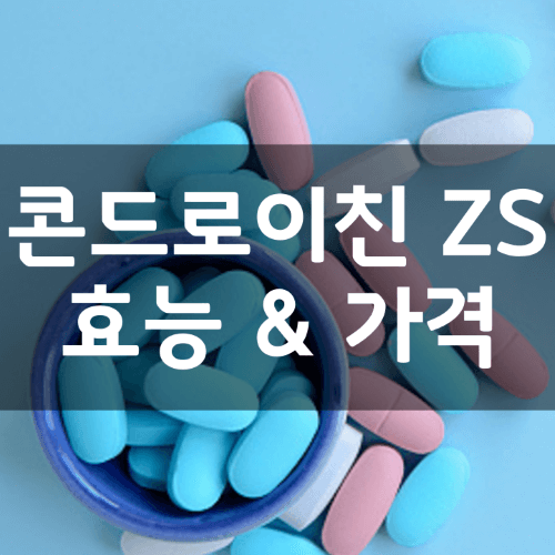 콘드로이친 ZS 썸네일