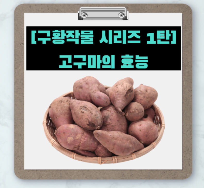  [구황작물 시리즈 1탄] 고구마 효능 7가지와 먹는방법