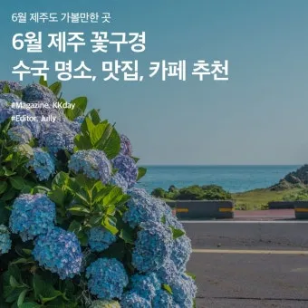 6월 제주도 가볼만한곳 10선 숨은 명소 맛집 코스_29