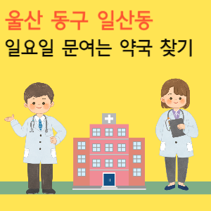 울산 일산동 일요일 문여는 약국 찾기