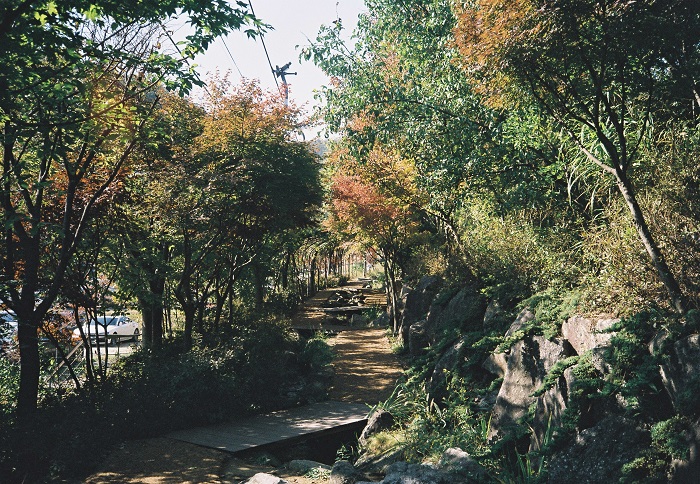  경기도 당일 여행 / 곤지암  화담숲 방문 후기와 꿀팁