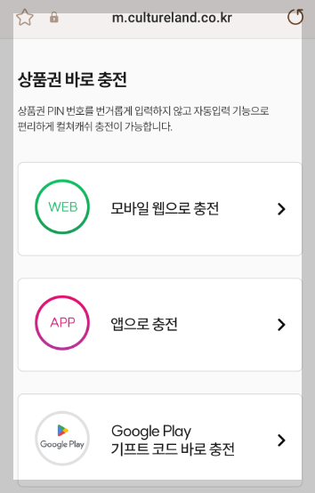 컬쳐캐쉬충전