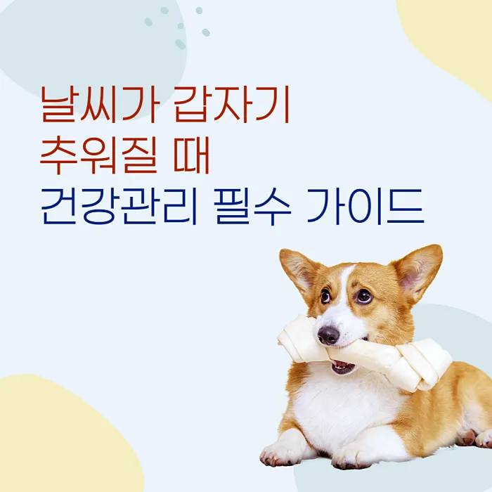  날씨가 갑자기 추워질 때 건강관리 필수 가이드
