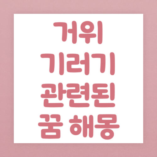 거위 기러기 관련된 꿈 해몽 썸네일