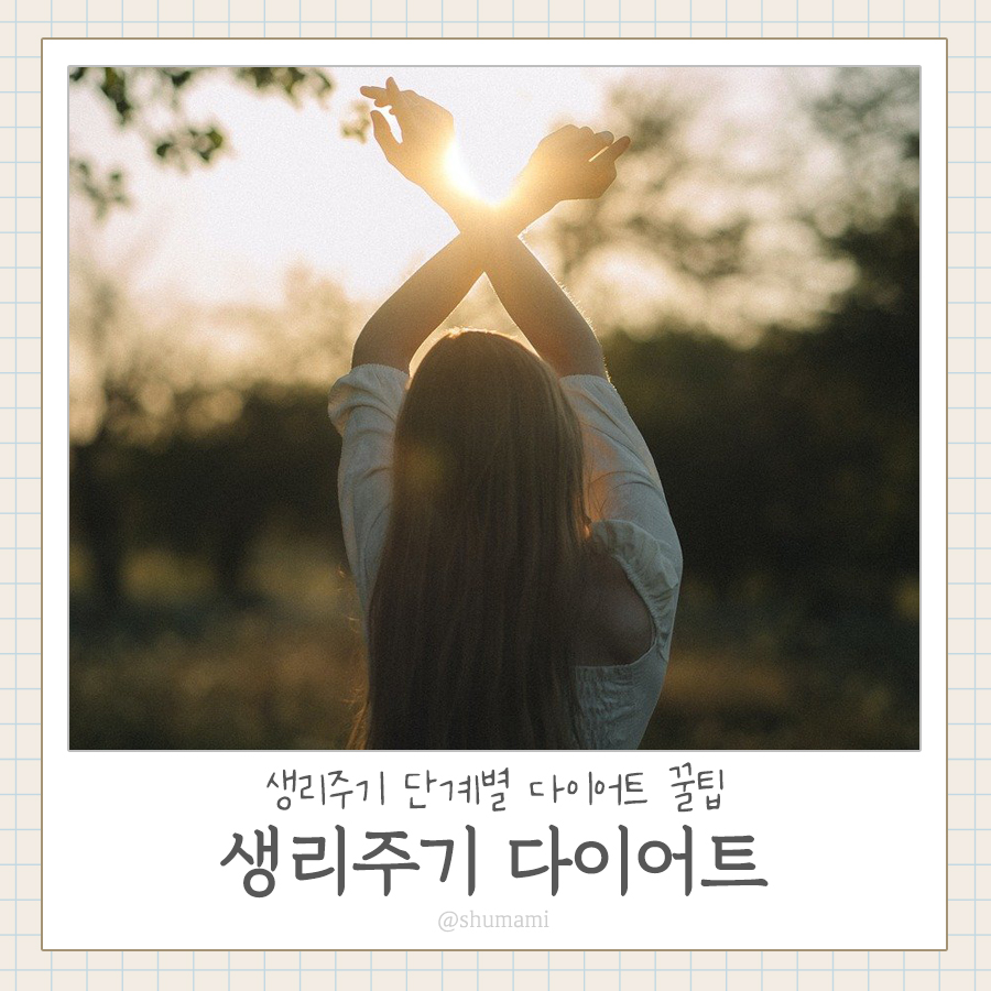 생리주기다이어트