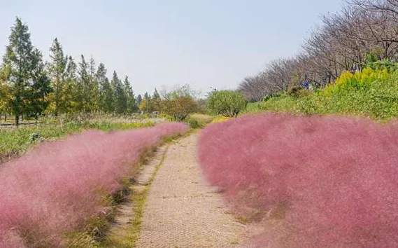 대저생태공원