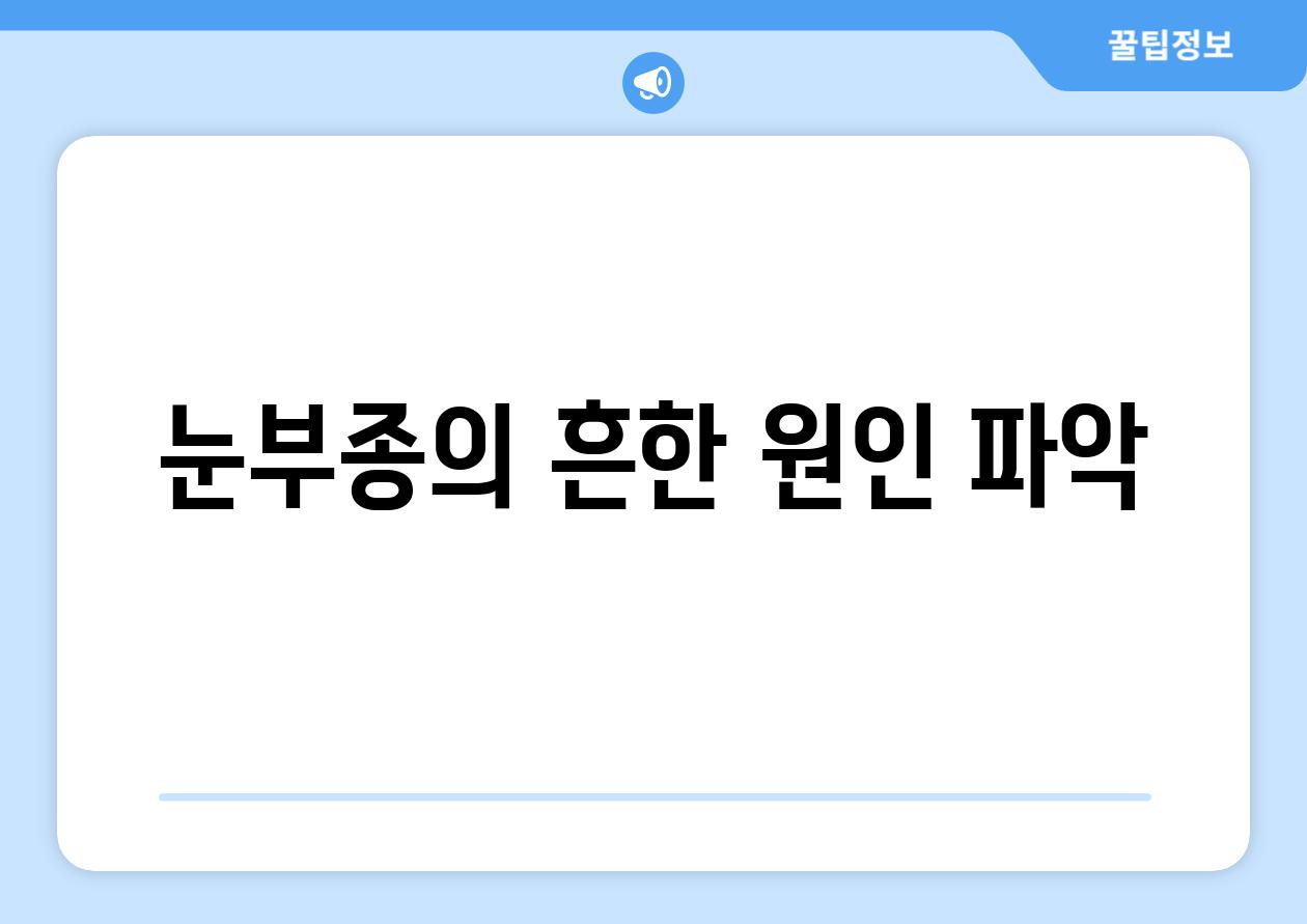 눈부종의 흔한 원인 파악