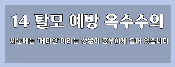  14 탈모 예방 옥수수의 씨눈에는 '베타인'이라는 성분이 풍부하게 들어 있습니다