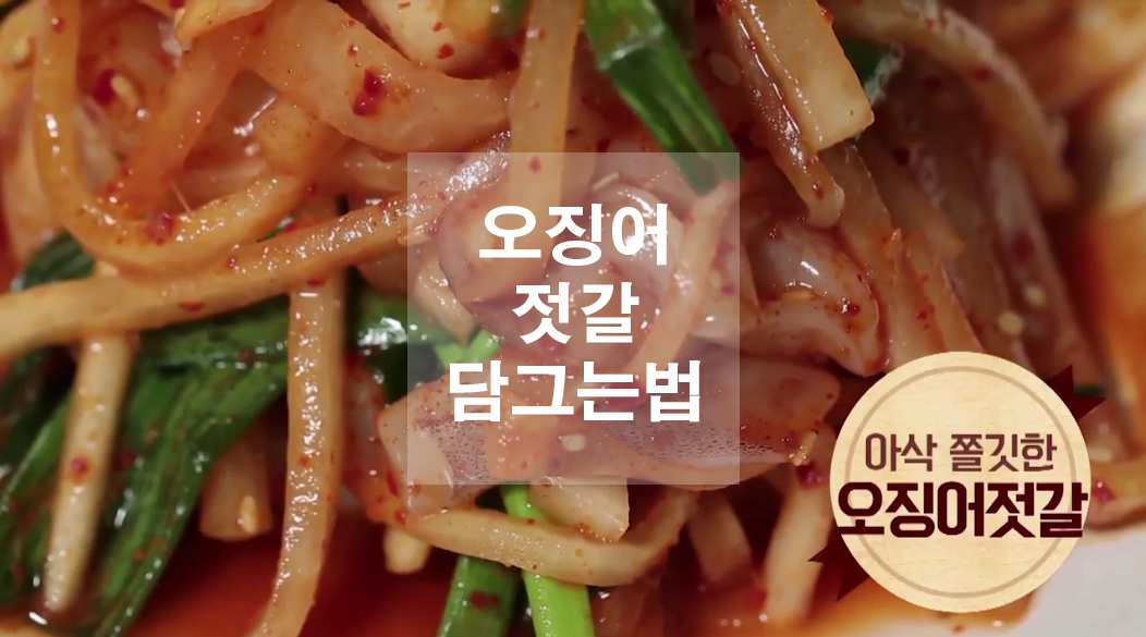  오징어젓갈 담그는법