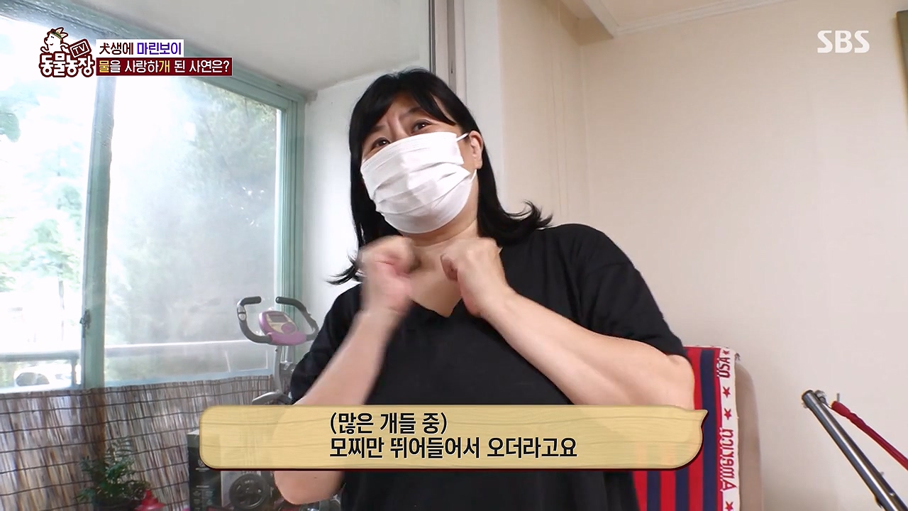 TV 동물농장.E1137.230911p-NEXT.mp4_20230910_175218.082.jpg