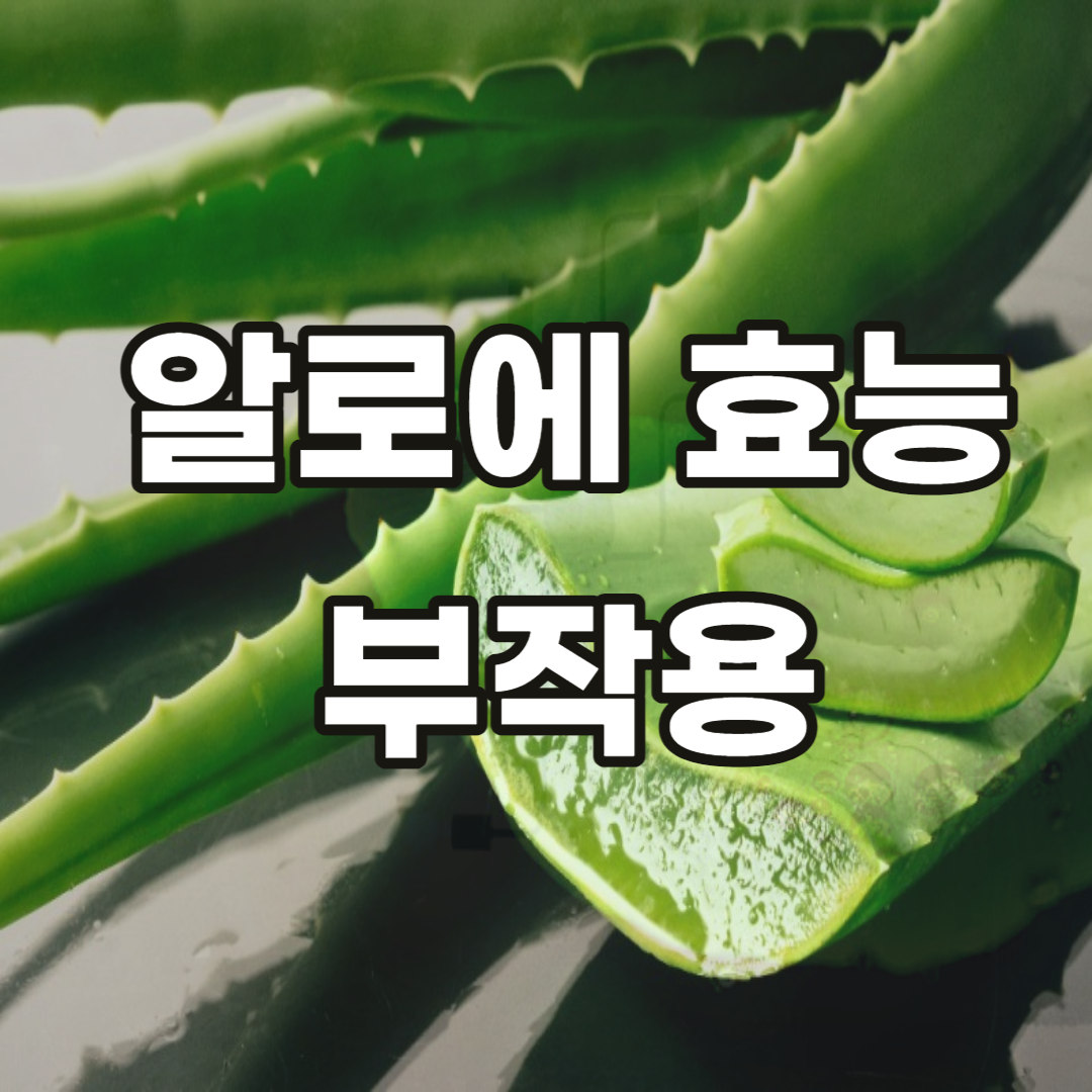 알로에-베라-사포닌-먹는법-먹는방법-효능-부작용-아임뮨-그린알로에