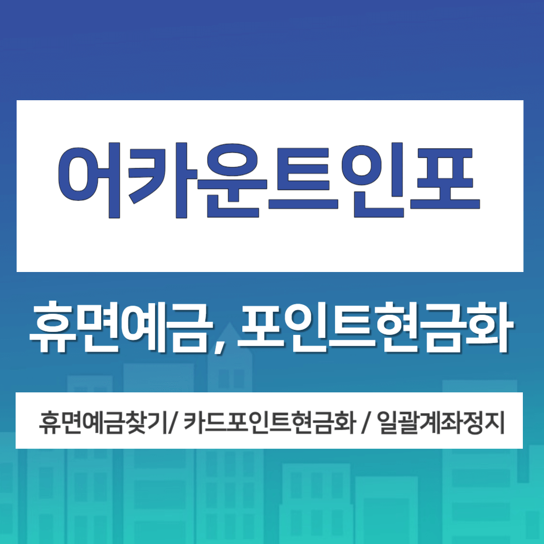 어카운트인포 설명