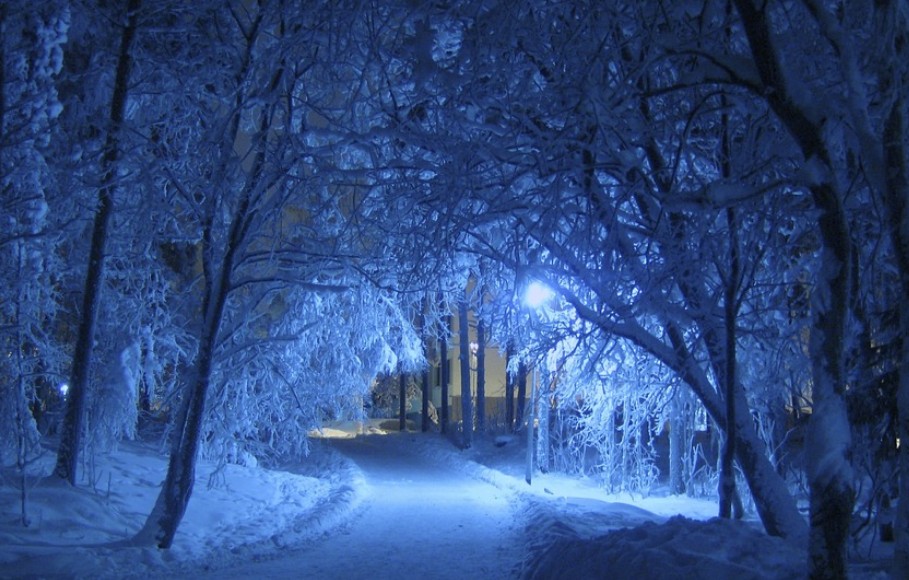 추운 겨울밤의 풍경