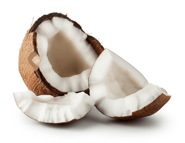 속이-보이는-코코넛열매