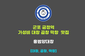  군포 금정역 대창 곱창 막창 가성비 맛집 : 용범양대창