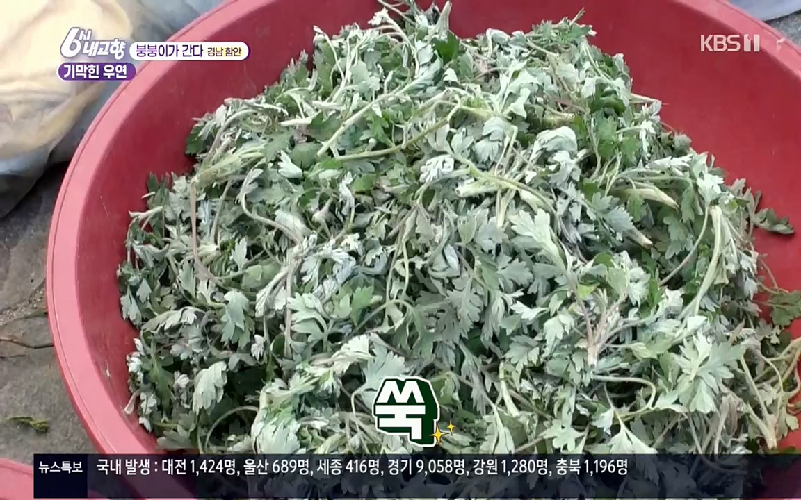 6시 내고향.E7518.220426p.H264-F1RST.mp4_20220504_192817.368.jpg