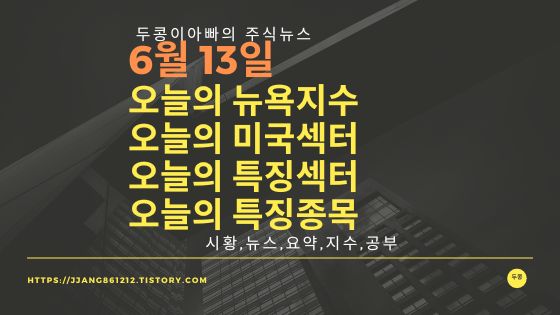  [22년 06월 13일]다우지수와 세계증시와 특징종목