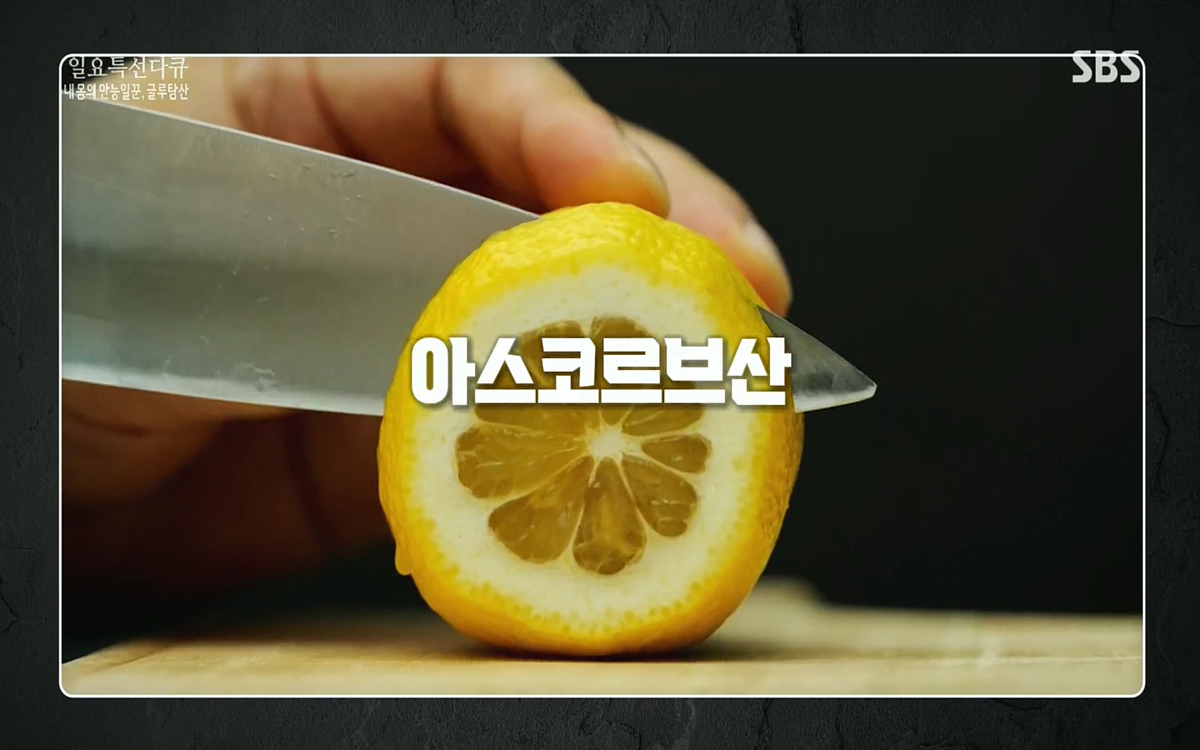 일요 특선 다큐멘터리.E283.220717p.H264-F1RST.mp4_20220718_201643.239.jpg