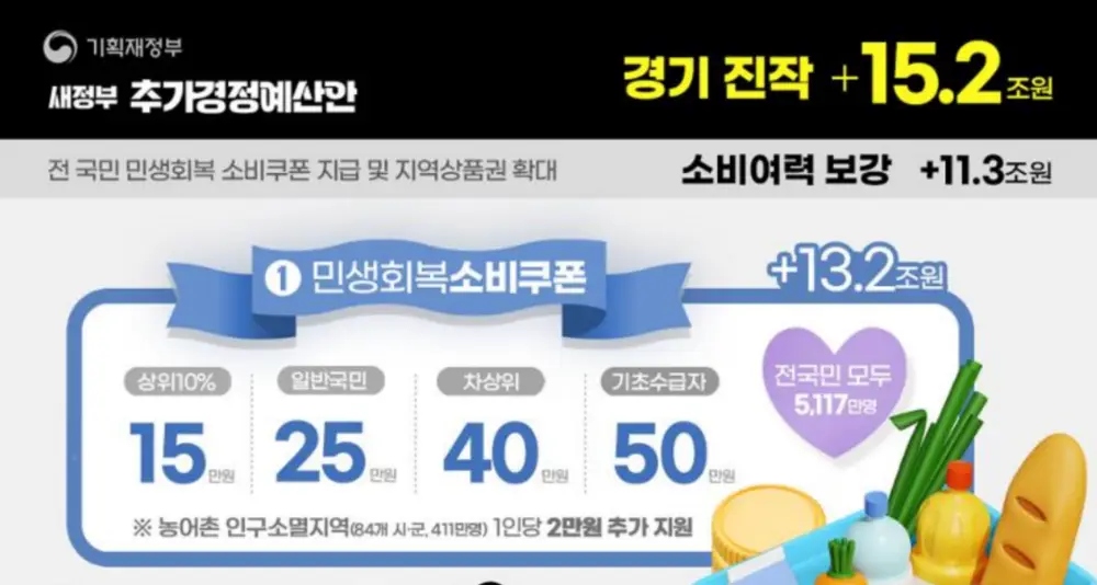 민생회복 소비쿠폰 차등지급 표