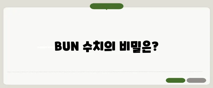 bun 수치 비교 간단하게 끝내는 팁