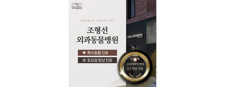 서울 성동구 동물병원