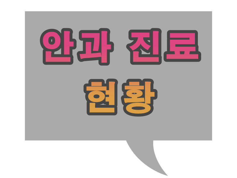  노원구 안과 의원 현황 [야간 진료 안과, 주말 진료 안과 ]