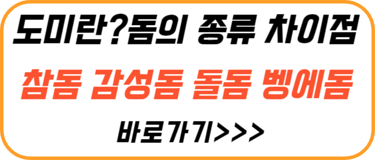 돔-종류