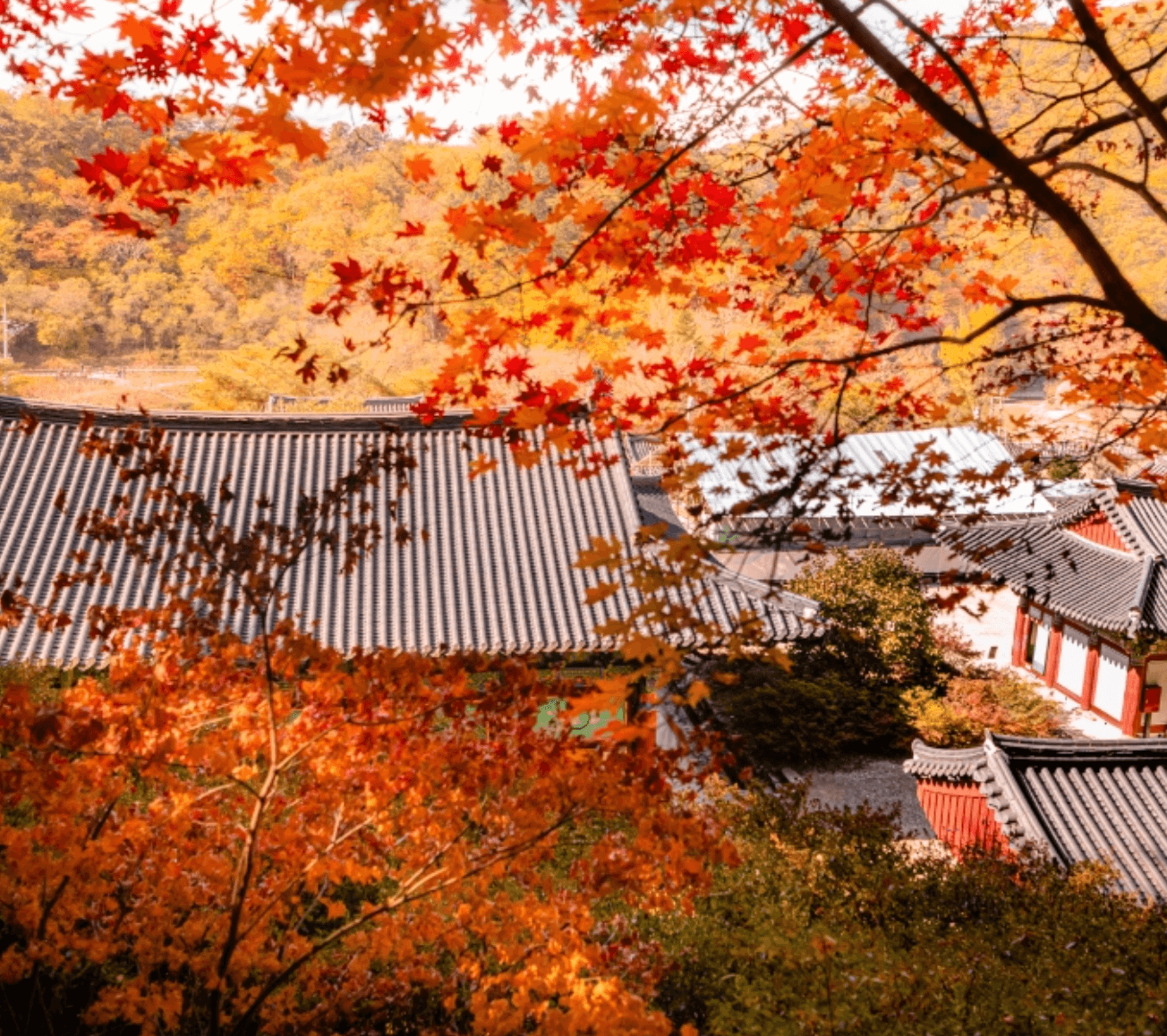 홍천 수타사 아름다운 자연을 품은 강원도 대표 천년고찰 추천여행지
