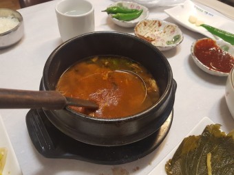 활오징어회 산오징어물회