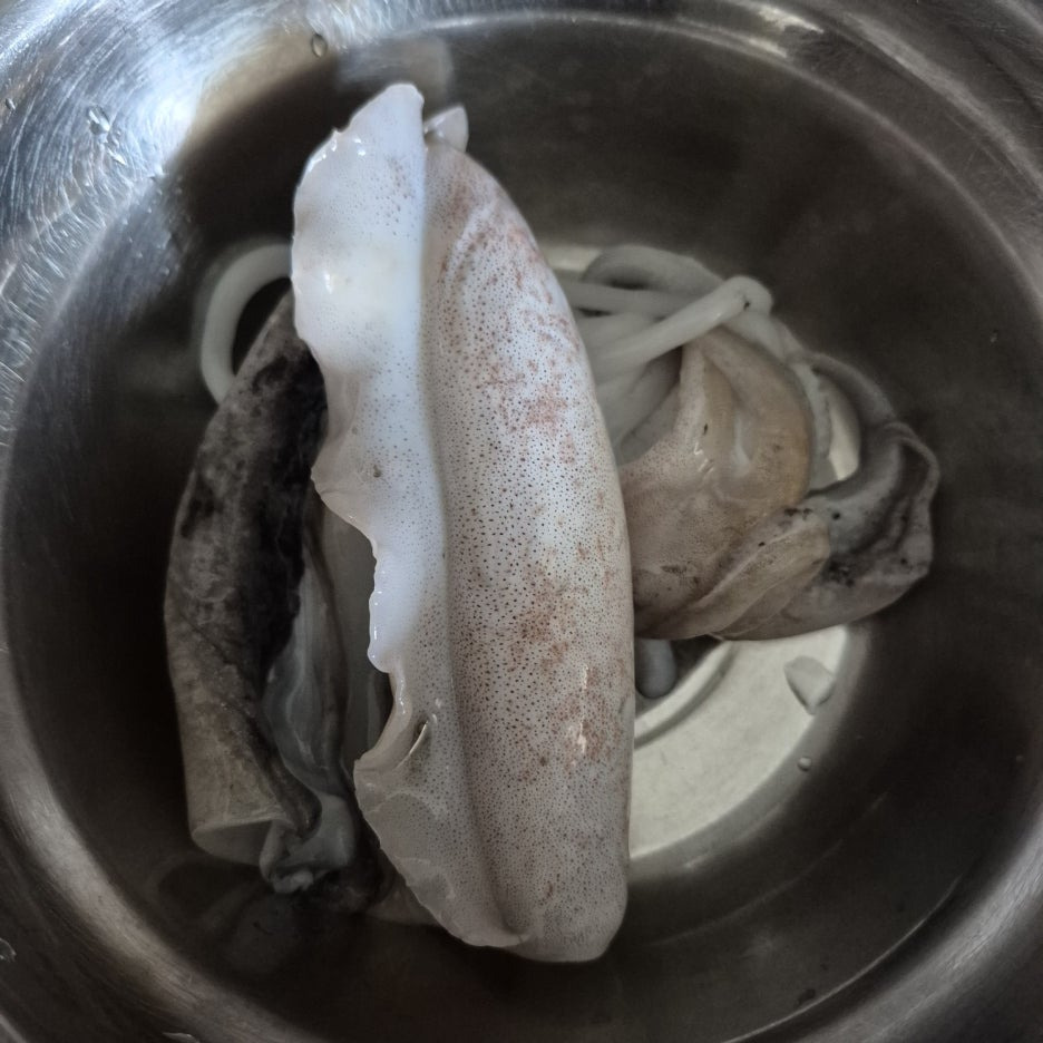 손질 갑오징어
