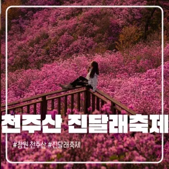 천주산 진달래축제 등산코스 맛집_5