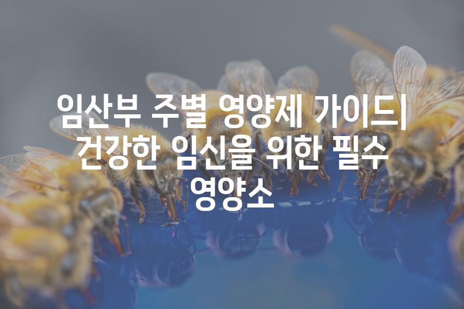 API 할당량 초과 오류 8