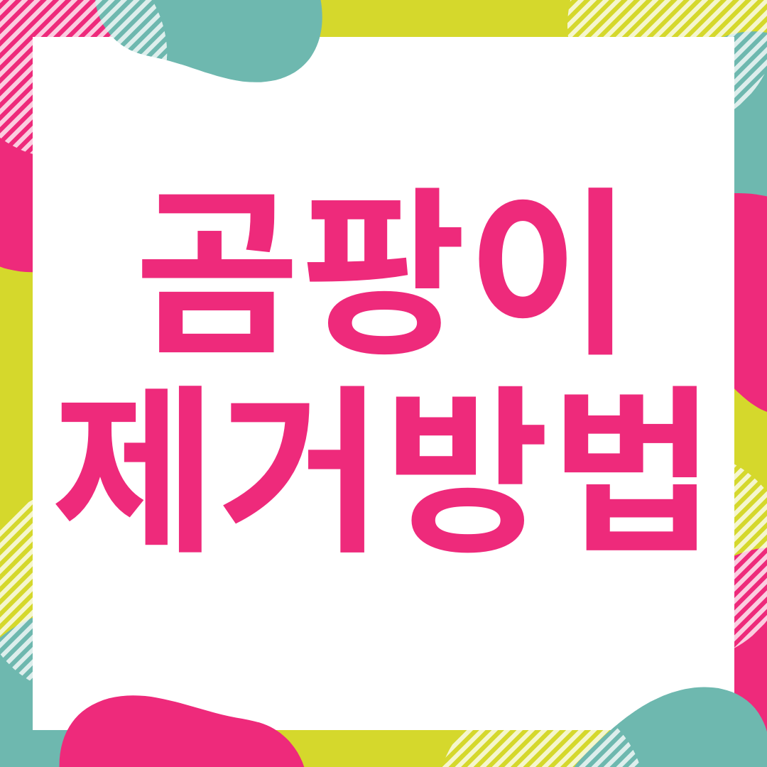  곰팡이 제거방법 간단