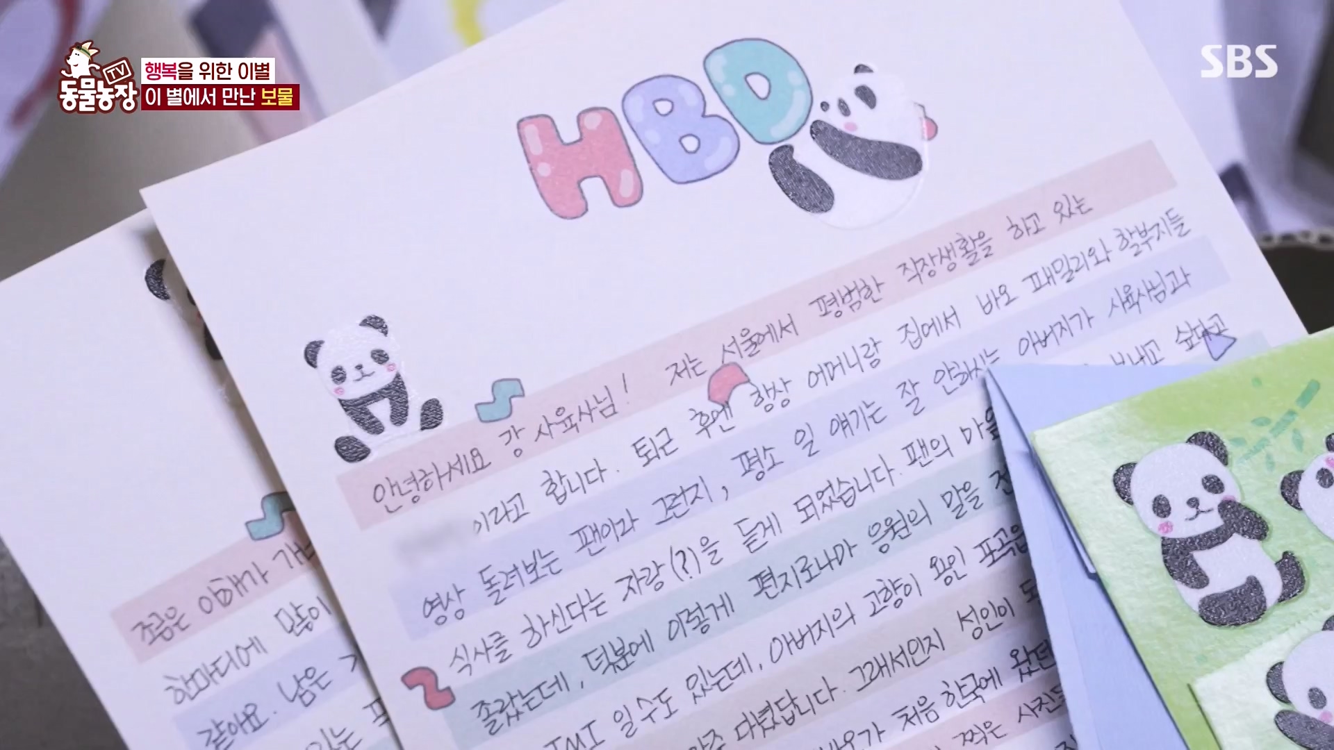 TV 동물농장.E1166.240407p-NEXT.mp4_20240407_164508.174.jpg