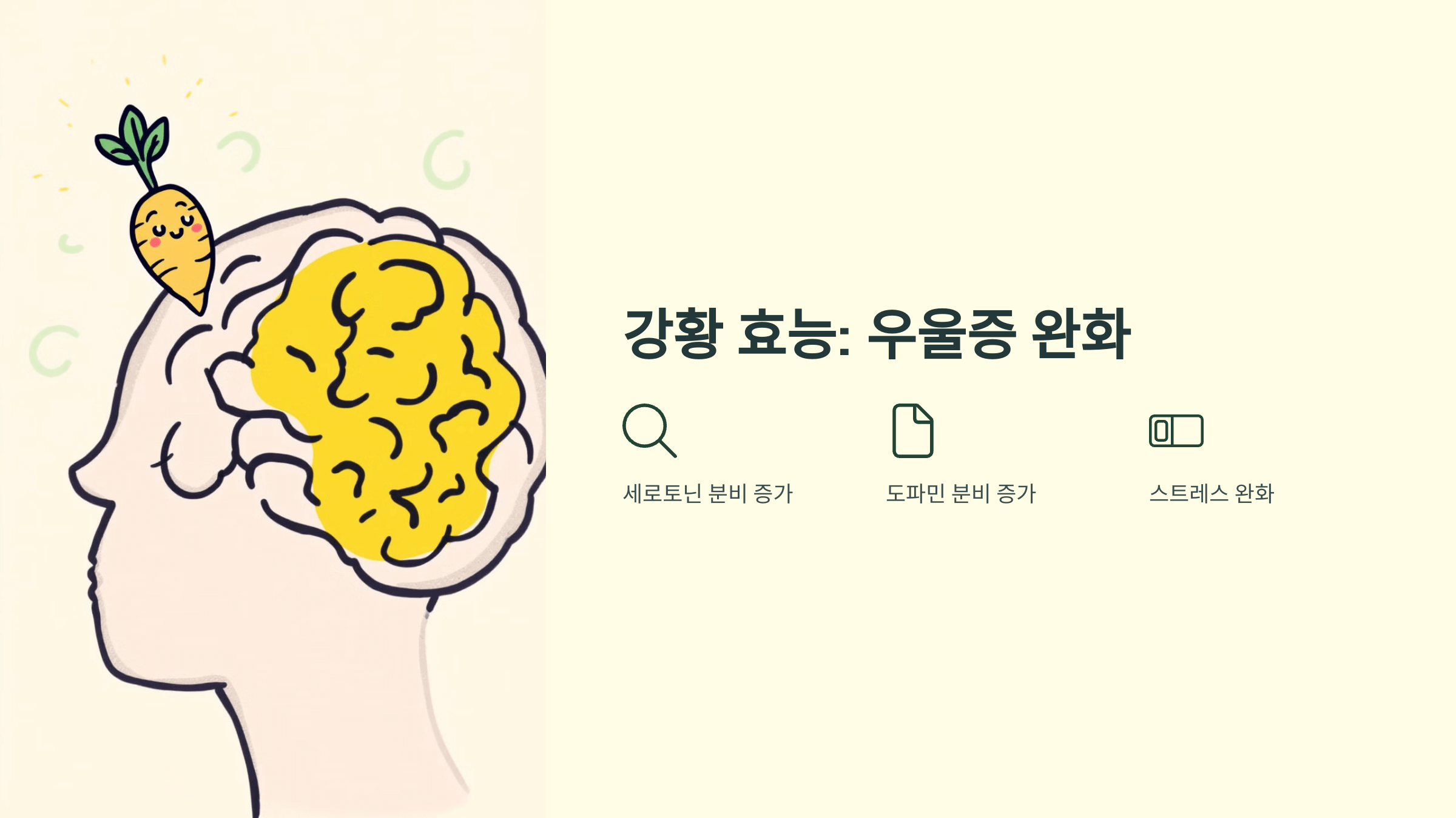 강황 사진입니다.