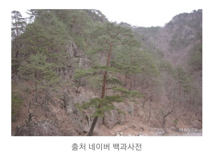씨름판 기술의 24