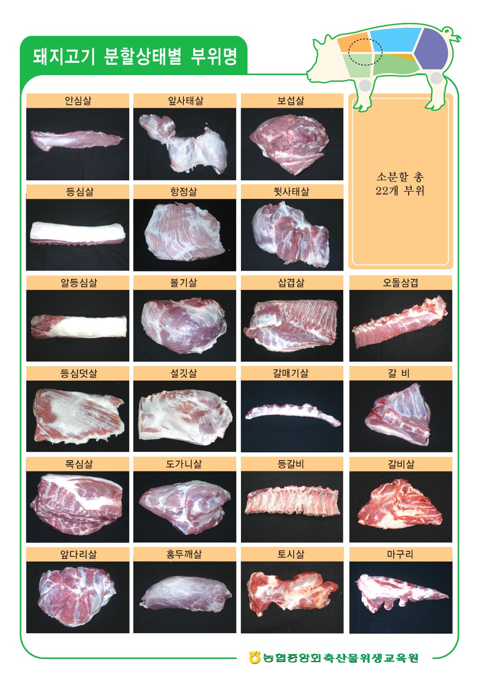 돼지고기-소분할-22개부위