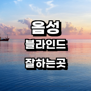 음성군 블라인드