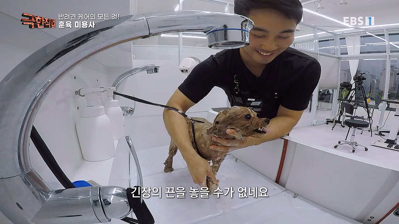 TV - 교육의 중심 EBS반려견 케어의 모든 것!.mp4_20230326_164755.543.jpg