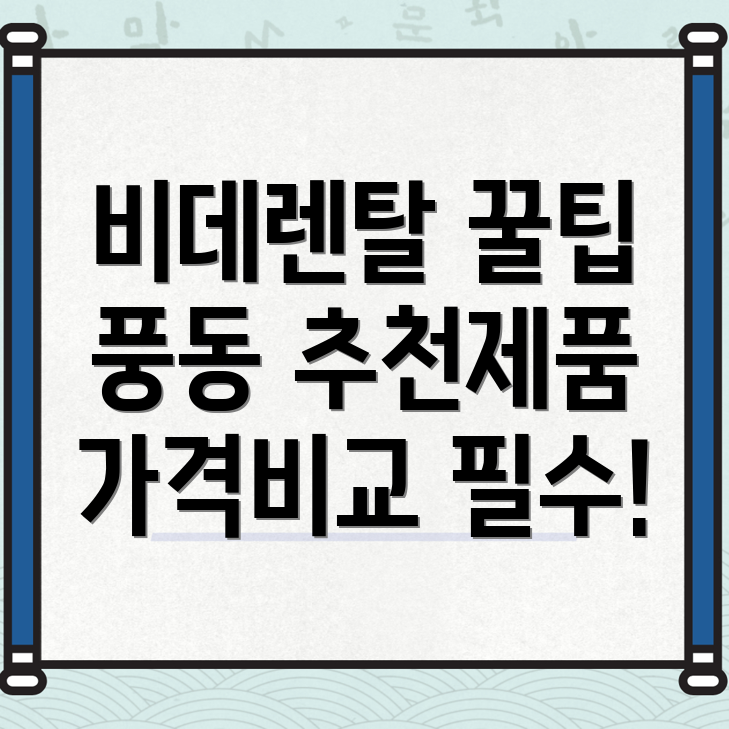 비데렌탈 가격
