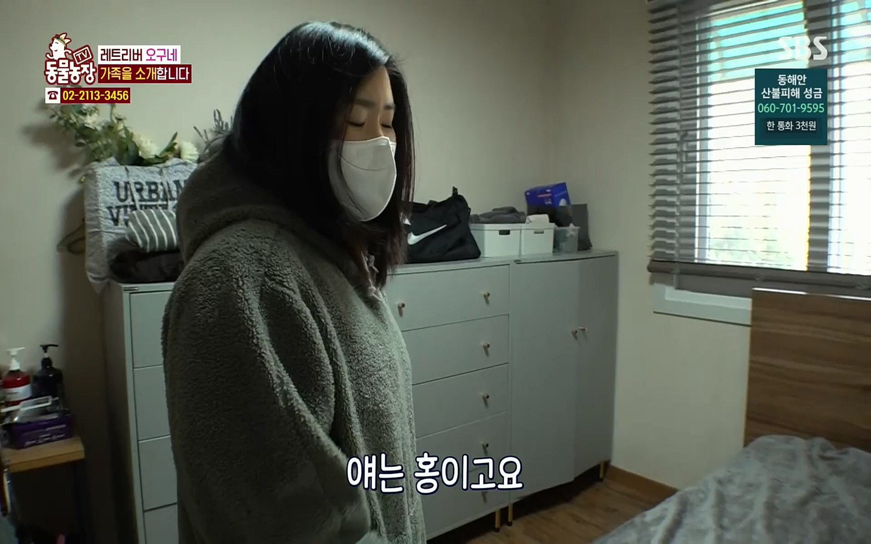 TV 동물농장.E1062.220327p.H264-F1RST.mp4_20220327_174410.938.jpg