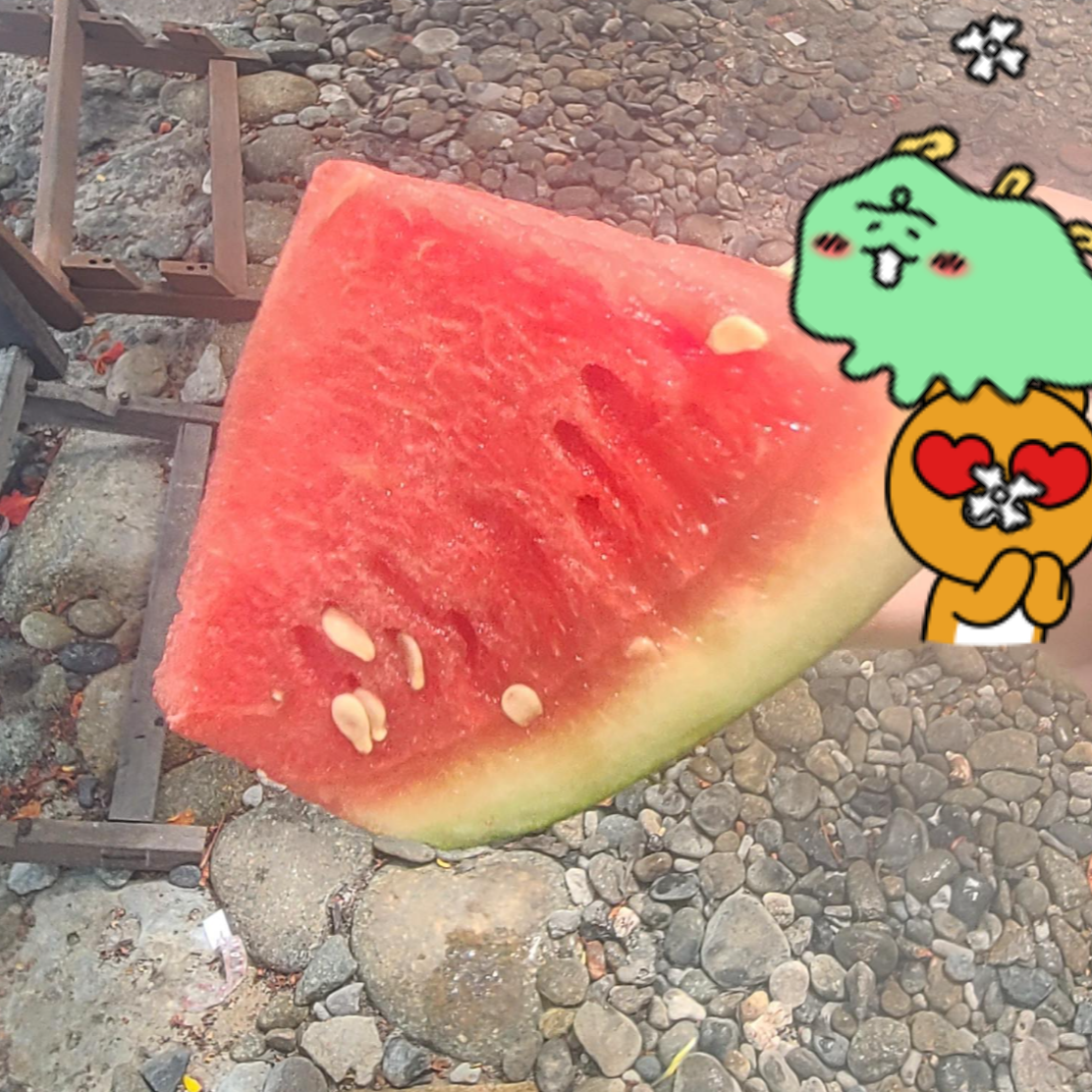 베트남 호핑투어 베나자 보트투어 혼문섬 수박