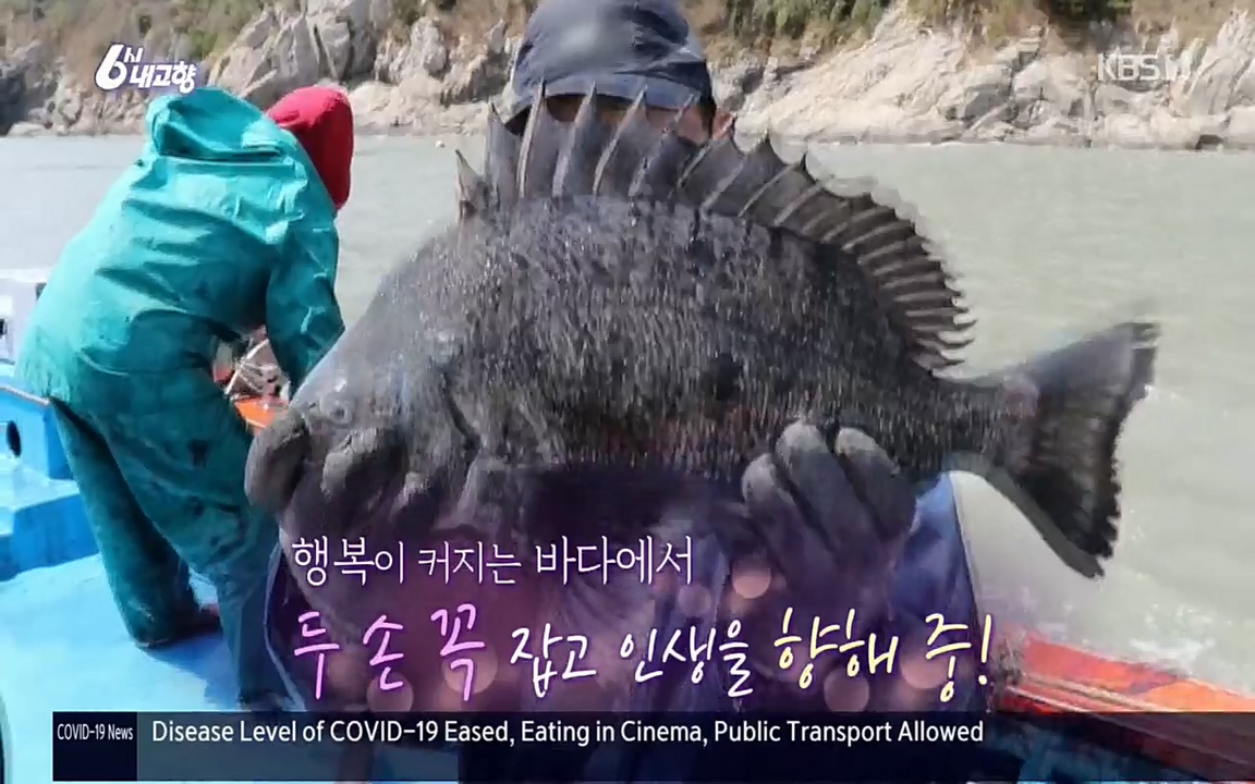6시 내고향.E7518.220426p.H264-F1RST.mp4_20220504_192721.242.jpg